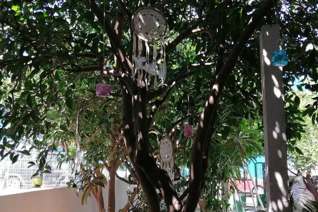Beautiful House With Garden Apartment Nea Alikarnassos Grecia