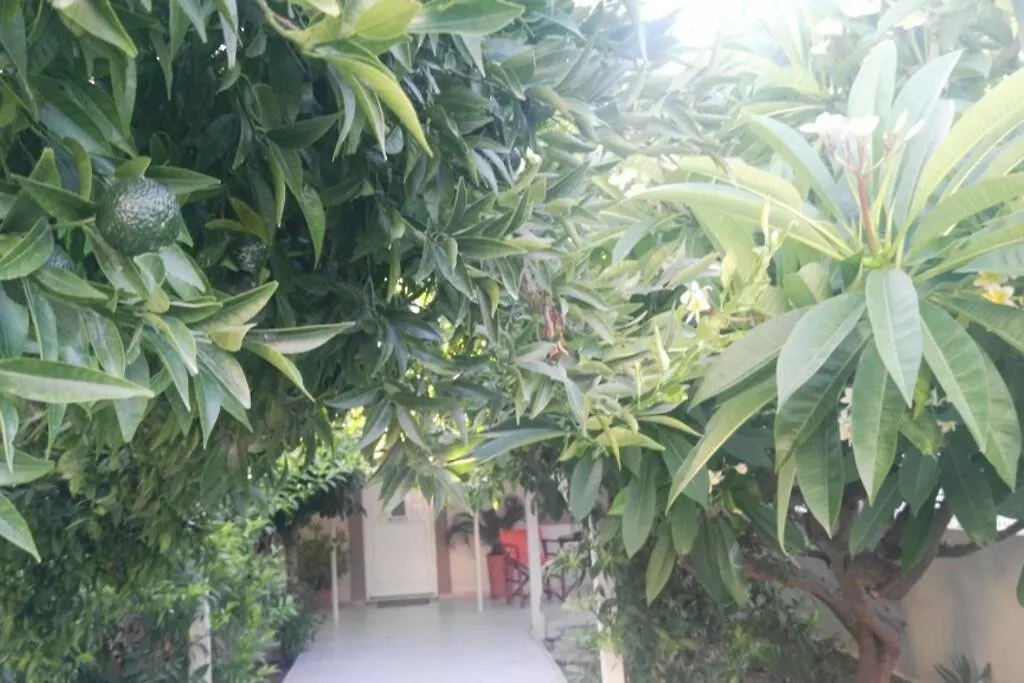 Beautiful House With Garden Apartment Nea Alikarnassos 0*,  Grecia